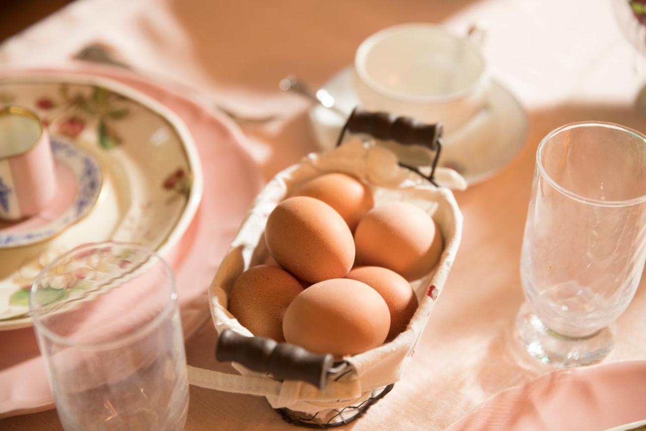 Gussago Torre De Salis Bed & Breakfast エクステリア 写真