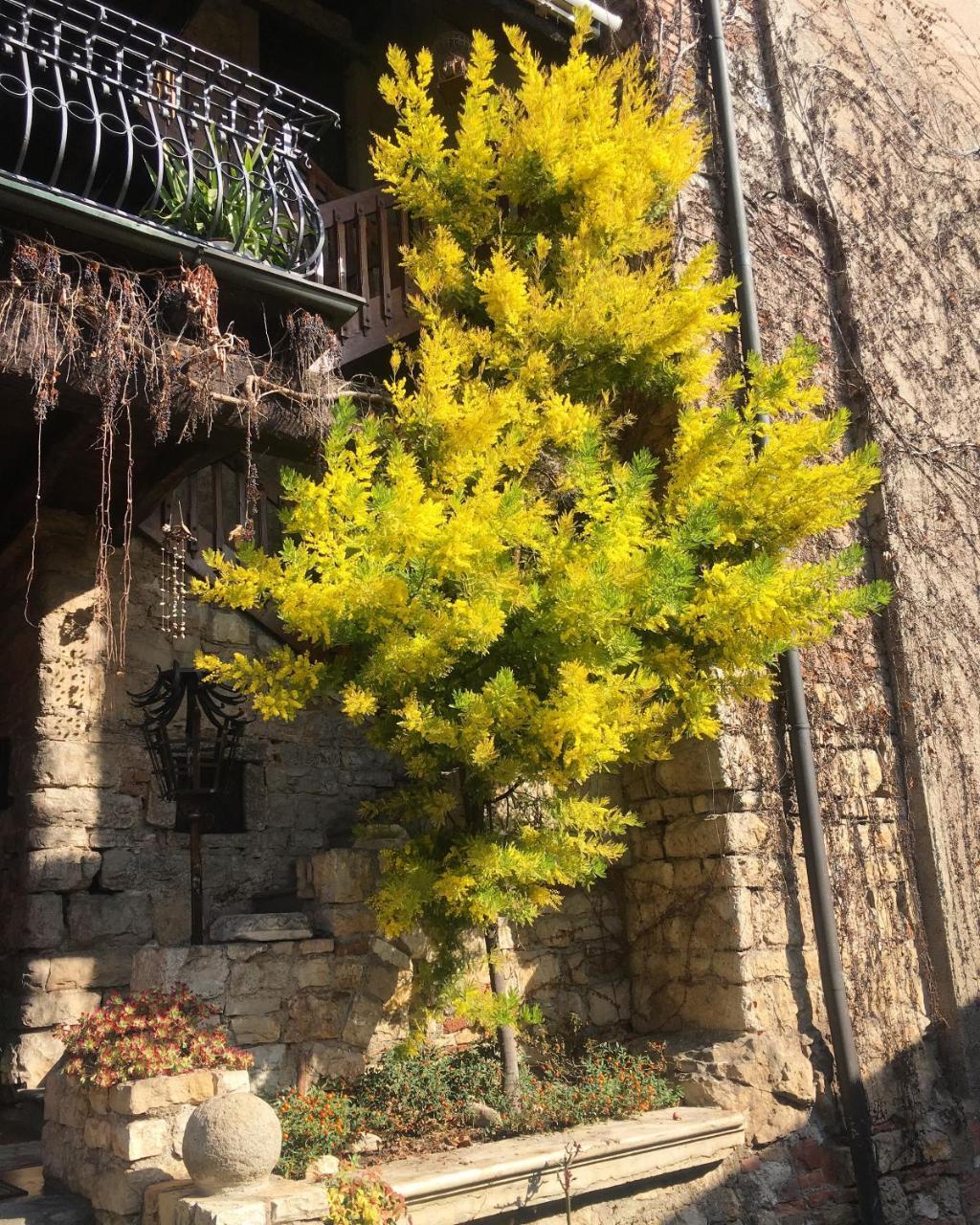 Gussago Torre De Salis Bed & Breakfast エクステリア 写真
